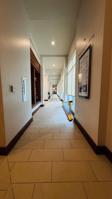 Araujo's Cleaning Services project photo