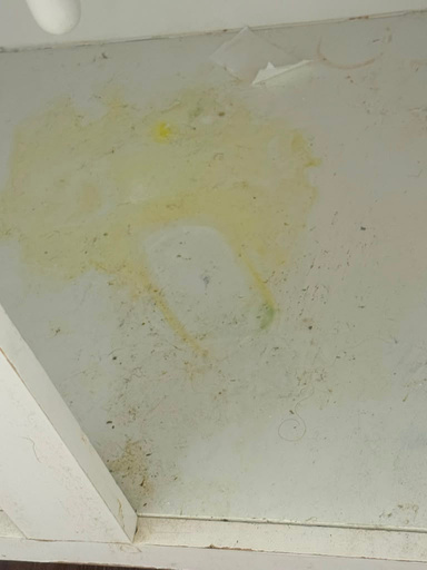 Araujo's Cleaning Services project photo